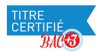 Bachelor titre certifié - miniature